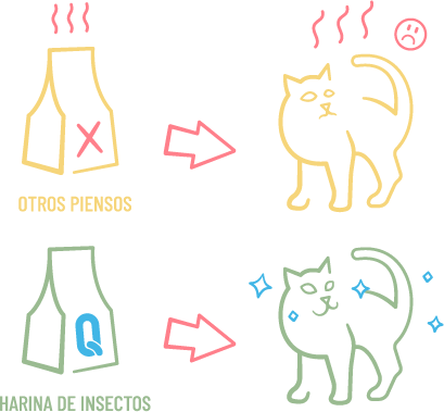 Pienso para mascotas con olor suave